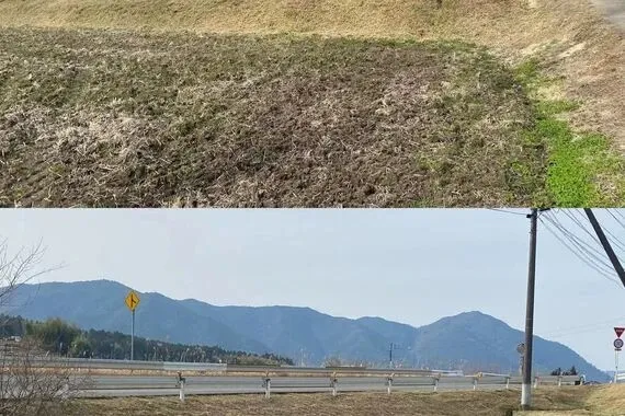 畑廻りの草刈作業