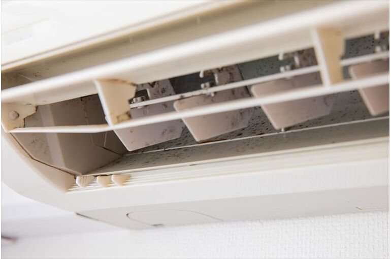 エアコン内に発生するカビの原因と予防方法