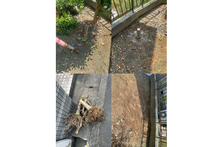 伐採、抜根などお庭の悩みを解決いたします。