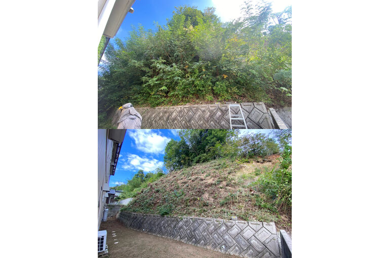 裏山の草刈り、伐採
