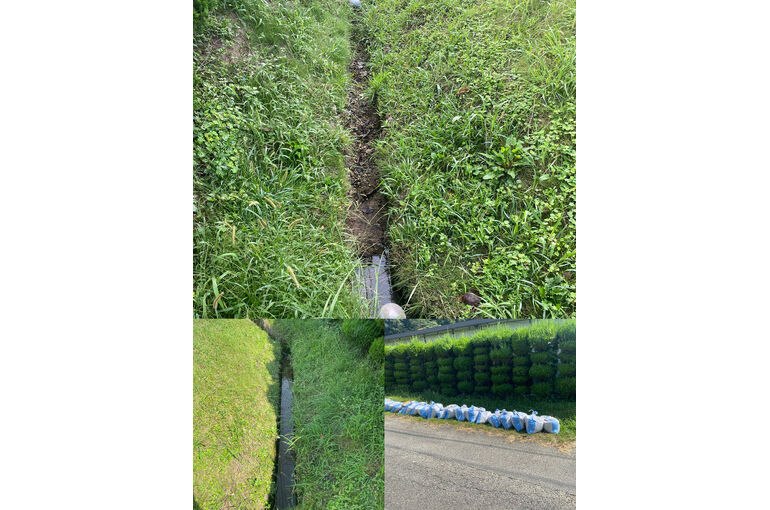 排水溝のお掃除