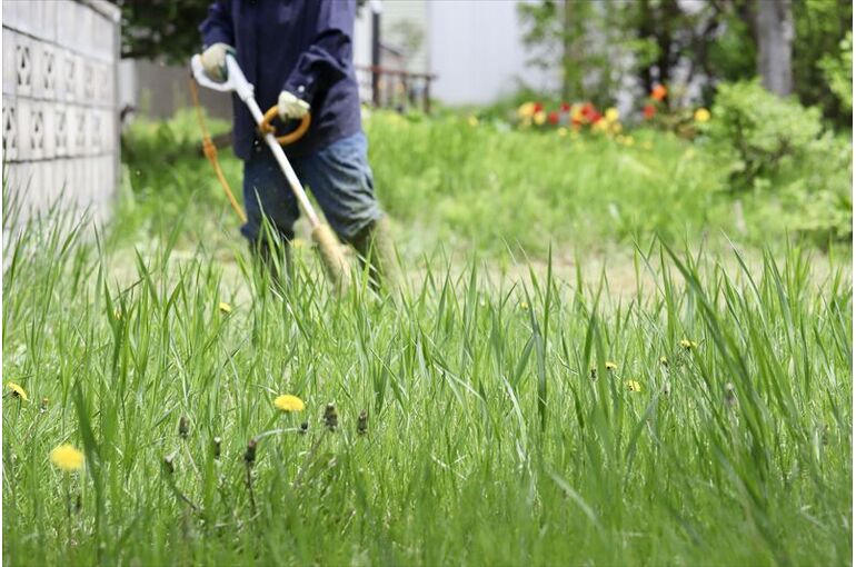 草刈りはタイミングで効果が変わるのは本当？
