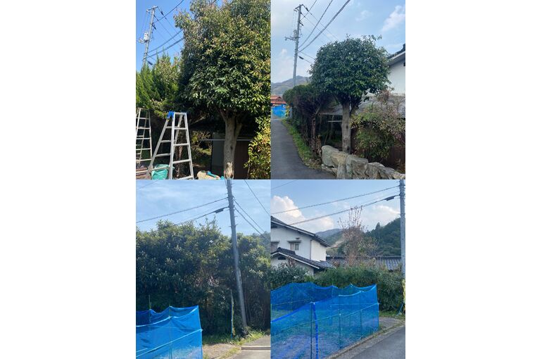 剪定の依頼です！