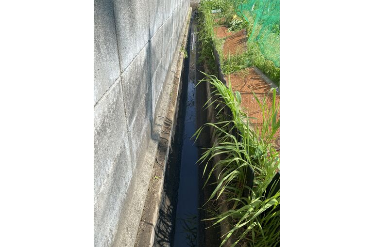 排水溝のお掃除