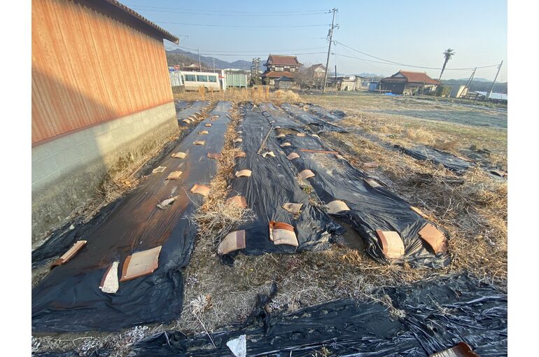 防草シート施工