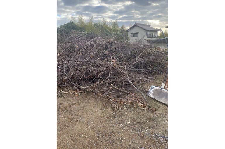 切り枝の撤去処分