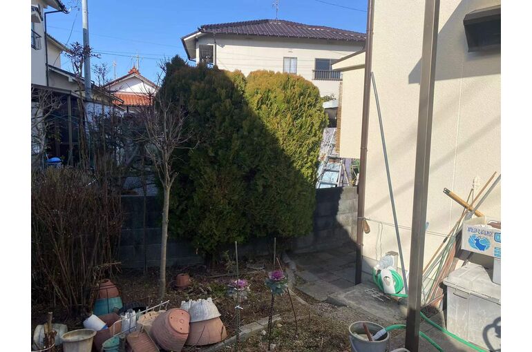 剪定の依頼です！