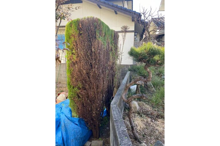 WeChat Image_20220210141534