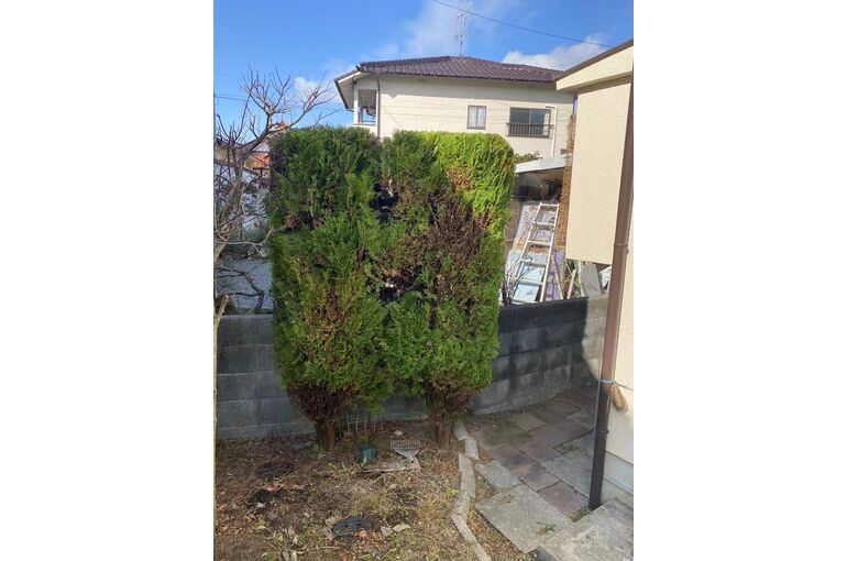 WeChat Image_20220210141527