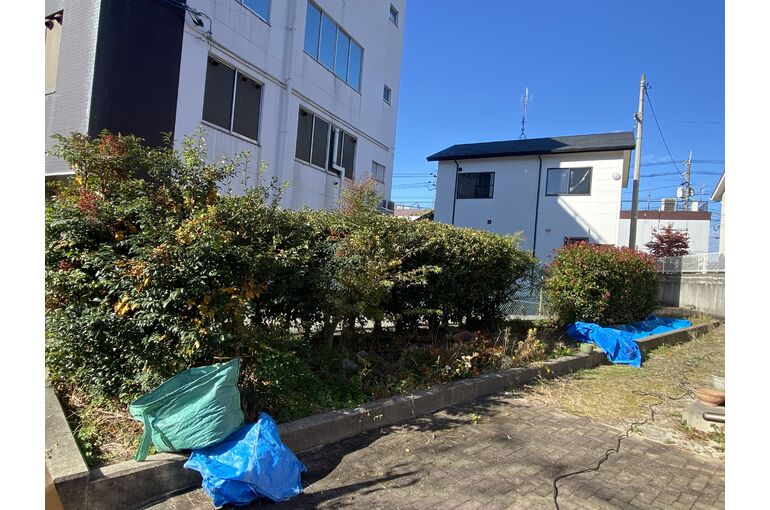 東広島で剪定のお仕事承ります。